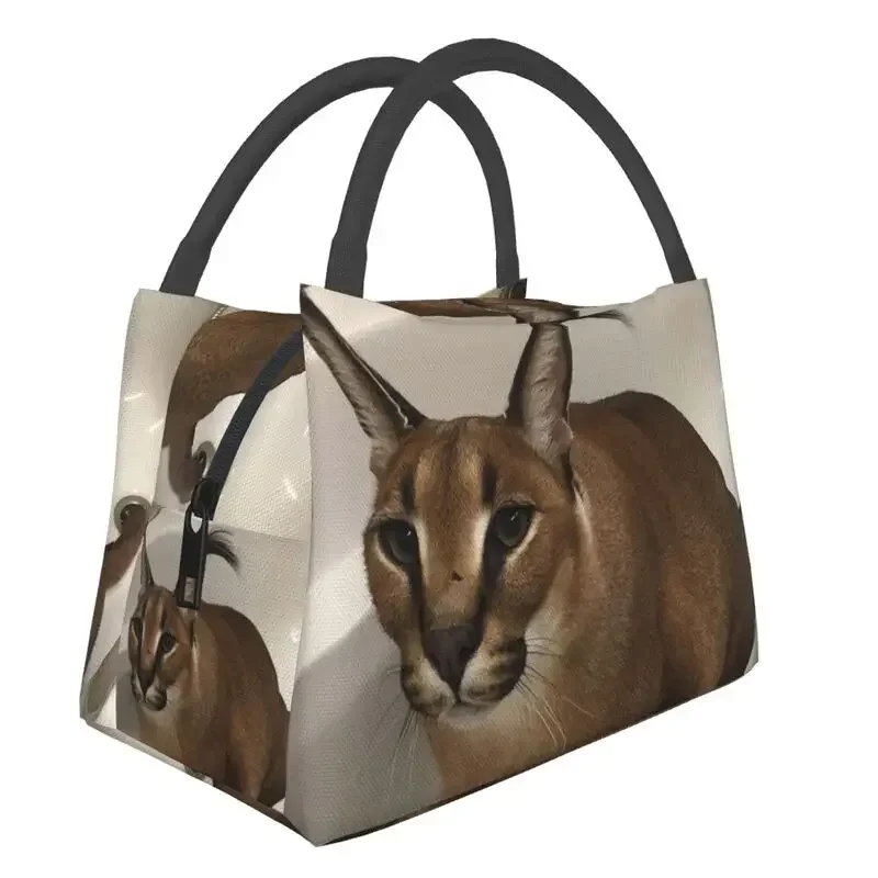 Food Storage Bag - Floppa Cute Meme Thermal Insulated Lunch