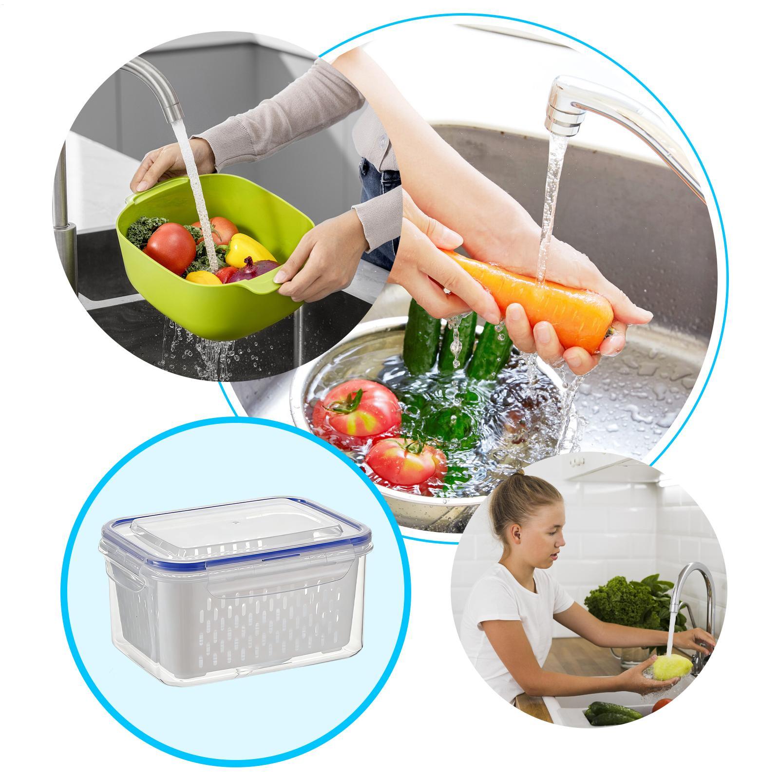 4 In 1 Food Storage Container  - Food Storage Container recension och pris