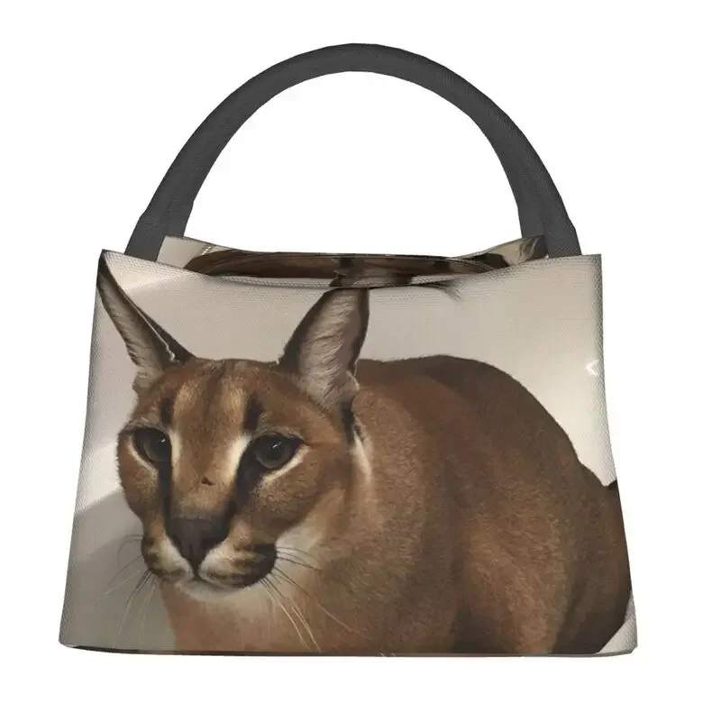 Floppa Cute Meme Thermal Insul - Food Storage Bag recension och pris