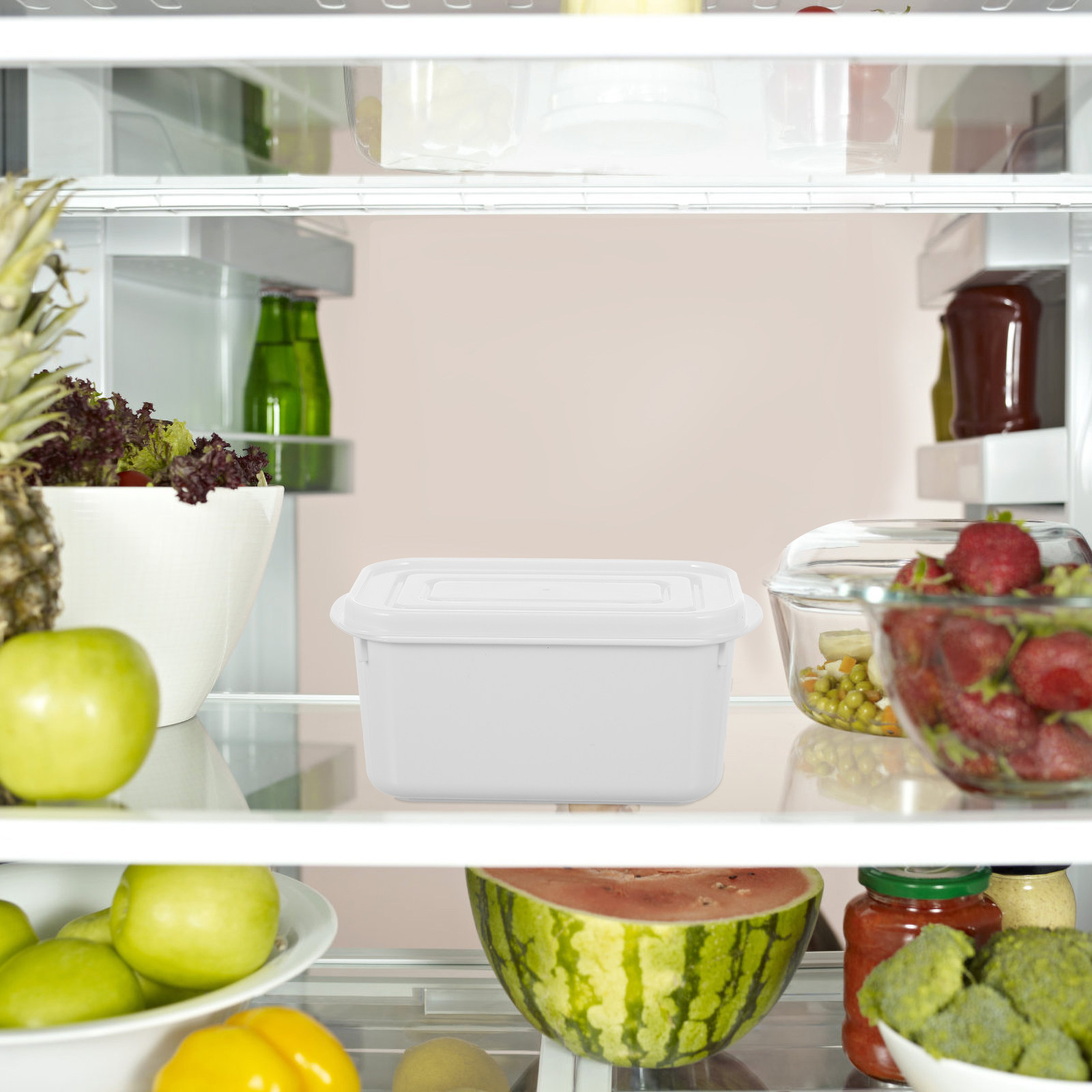 2Pcs Food Storage Boxes Dustpr - Food Storage In Restaurant recension och pris